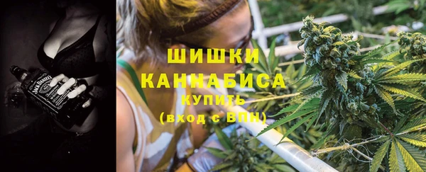крисы Баксан
