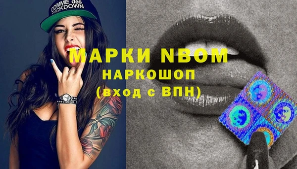 крисы Баксан