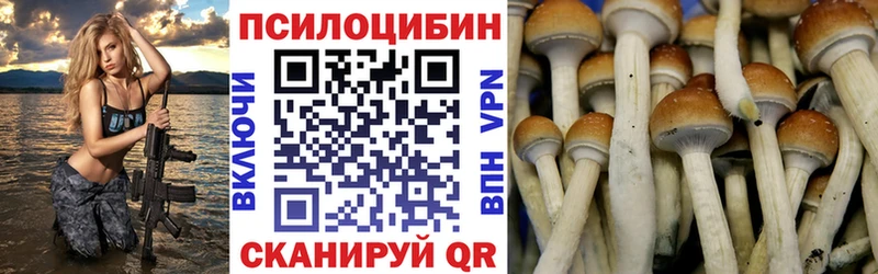 Псилоцибиновые грибы ЛСД Купино
